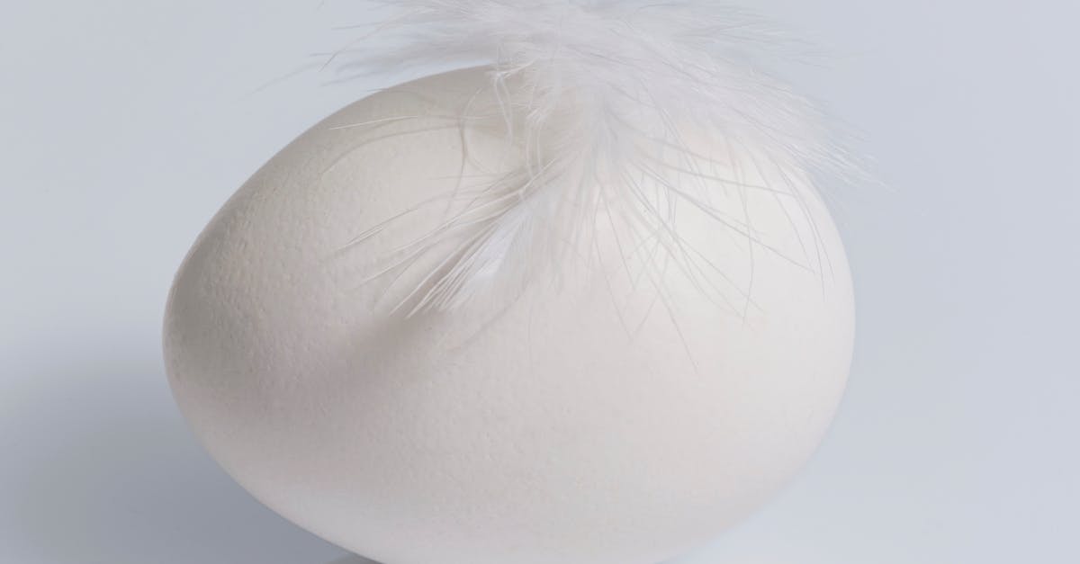 1.9 summoning in a spawn egg item - White Egg on White Surface