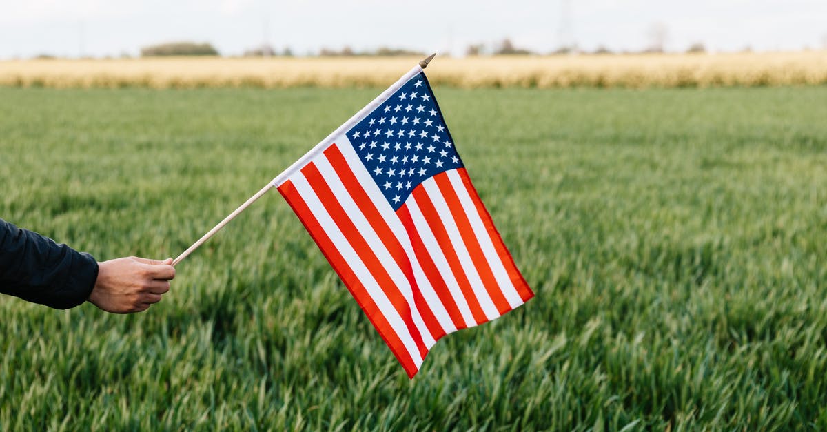 1.9 tellraw selector color showing as green - Crop unrecognizable person holding colorful flag of America with stars and stripes on lush green lawn under cloudy sky in daylight