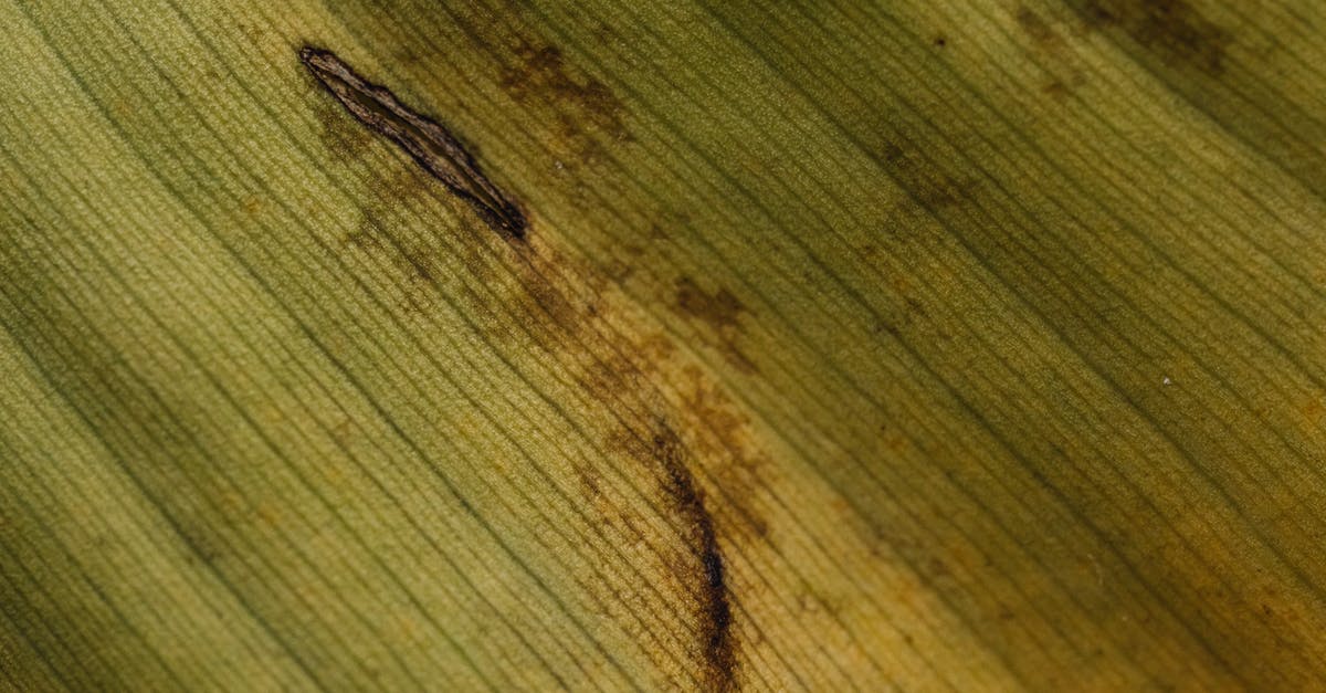 2000m spots in Guns of Icarus? - Brown Rope on Brown Wooden Surface 2000m spots in Guns of Icarus? - Brown Rope on Brown Wooden Surface