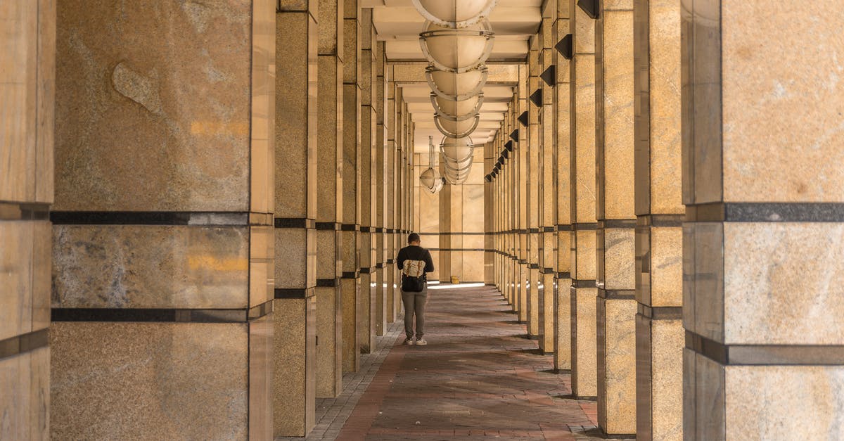 4 Ender Dragons on Outer Islands? - Outer Colonnade in Postwar Architecture