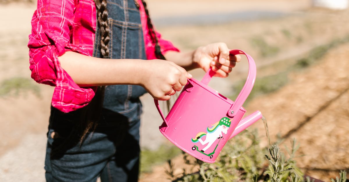 A Nickel that can't be picked up - Free stock photo of agriculture, bucket, child