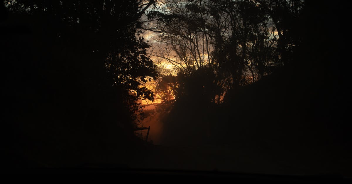 A question on Yuffie in Final fantasy 7 - Silhouette of Trees during Sunset A question on Yuffie in Final fantasy 7 - Silhouette of Trees during Sunset