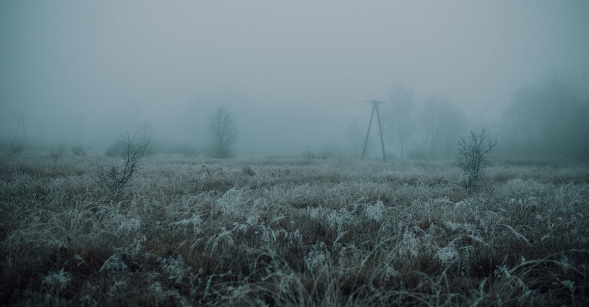 Abandoned village to Village - Meadow with grass covered with hoarfrost in countryside in cold foggy gloomy morning