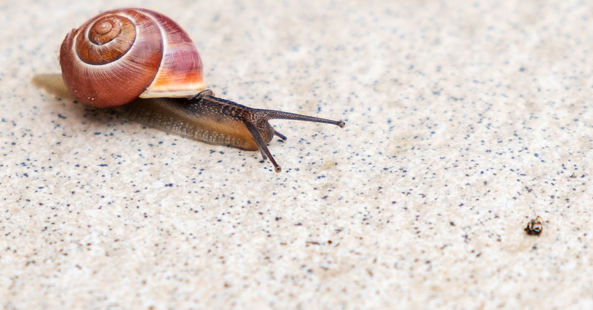 Abilities that slow interaction with oppressor - Brown Snail on White Sand