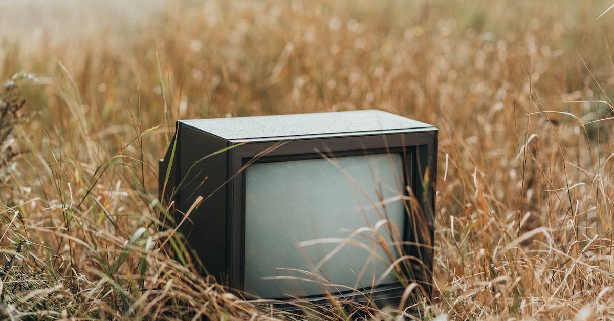 Accessing biome-specific grass tints w/out use of external programs? - Small black obsolete old fashioned television placed on withered dry grass on street against blurred background in countryside in nature