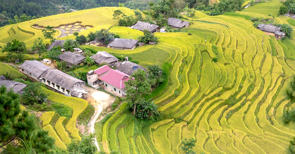 ADOM Village dungeon does not contain 7 levels - High Angle View of a Village with Green Rice Terraces