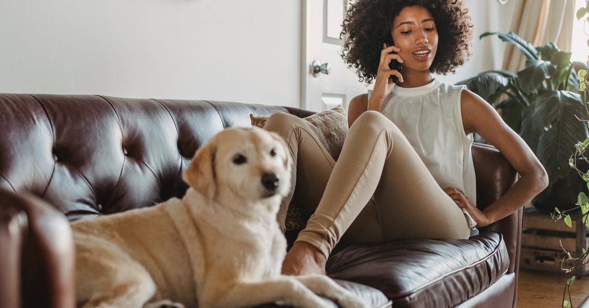 Aim down sight is blurred in the Call of duty Black Ops 3 Beta? - Full body of African American female owner having conversation on mobile phone while resting on couch with Labrador Retriever Aim down sight is blurred in the Call of duty Black Ops 3 Beta? - Full body of African American female owner having conversation on mobile phone while resting on couch with Labrador Retriever