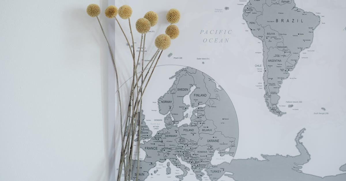 All Draconid Locations in the witcher 3? - Dried Craspedia Flowers and a Scratch Map