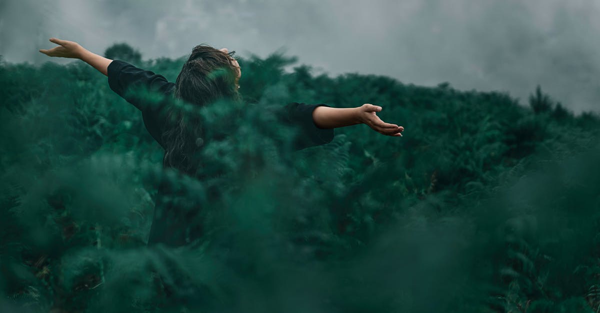 All Free champions - Person Standing on Grass Field While Opening Hands