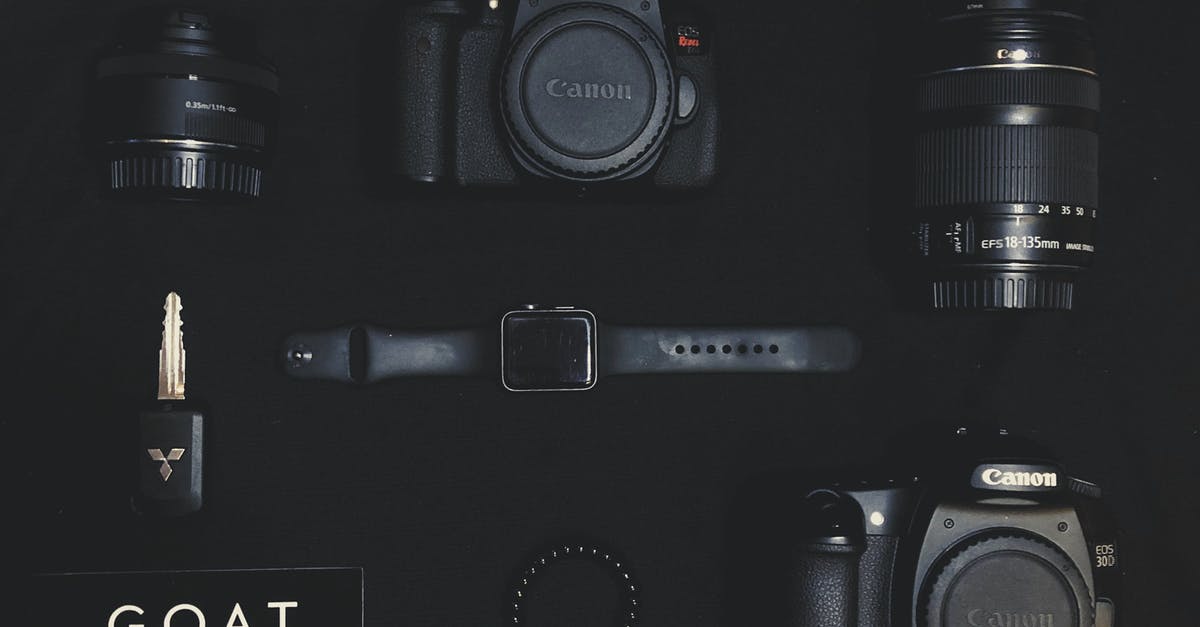 All my F-keys zoom [duplicate] - Two Black Canon Dslr Camera