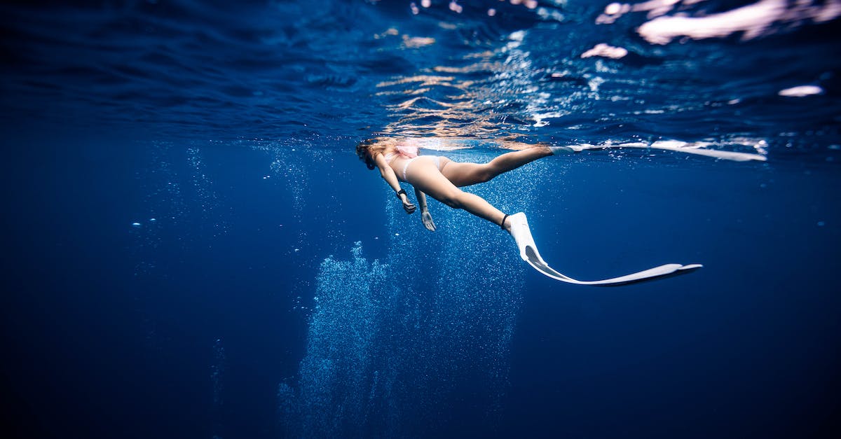 Am I under leveled? - Female diver in swimwear and flippers swimming on surface of deep blue ocean Am I under leveled? - Female diver in swimwear and flippers swimming on surface of deep blue ocean