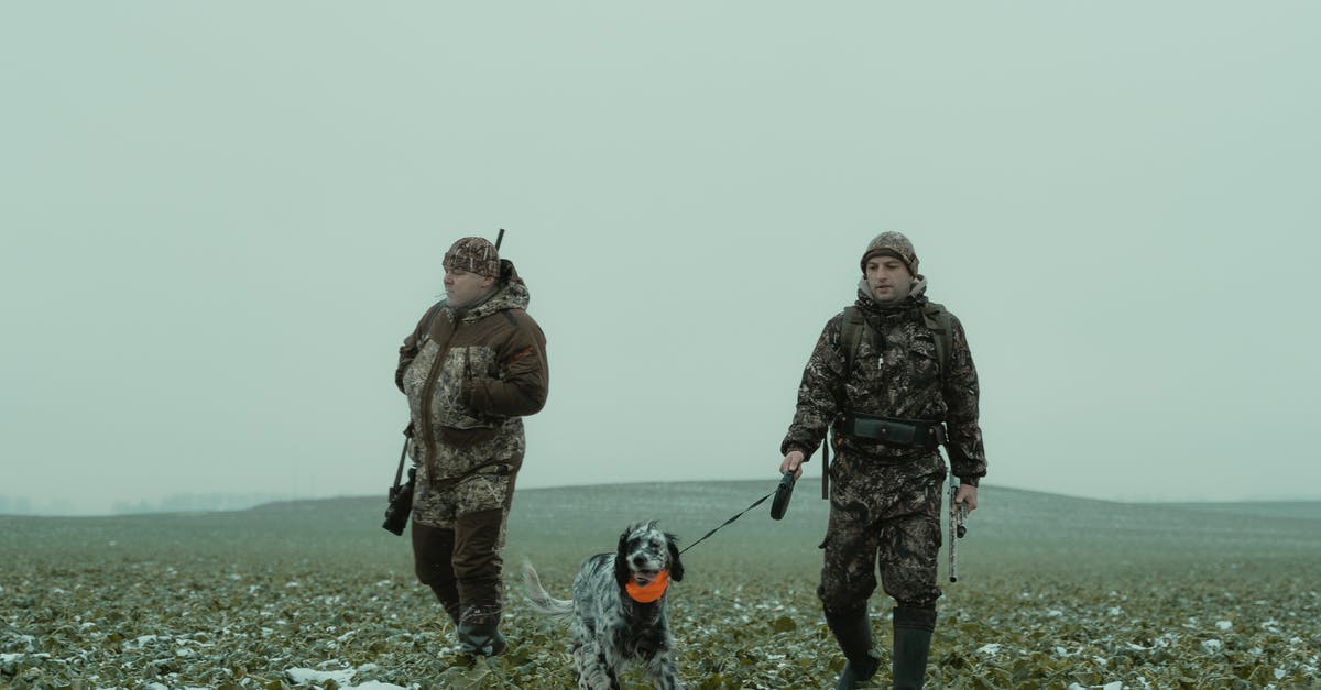 Ammo Conservation for Plasma Weapons - Two Men Walking in a Field with a Dog Ammo Conservation for Plasma Weapons - Two Men Walking in a Field with a Dog