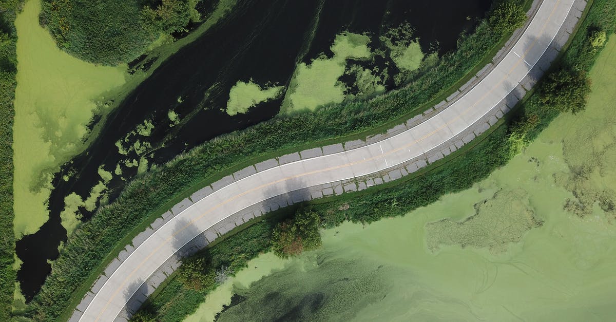 Among us disconnect error - Aerial View of Curved Road Between Green Shrubs