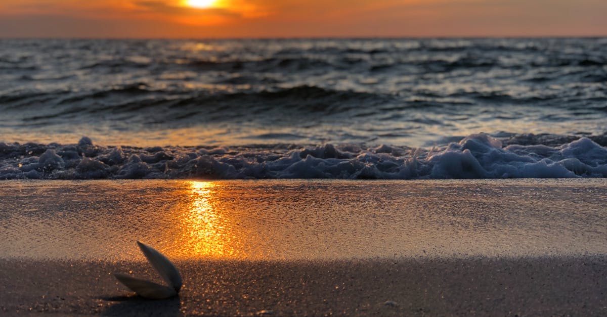 Ancient artifact problem Horizon Zero Dawn - Photo of Seashore at Golden Hour