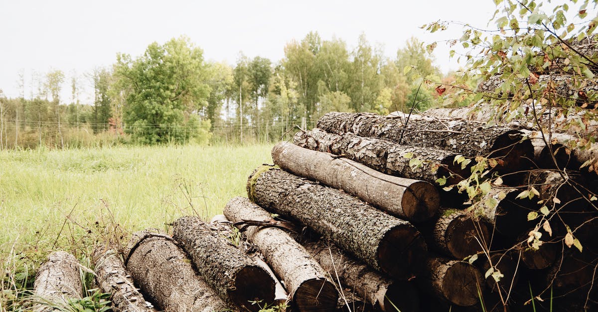 Anno 2070 Expanding Production Areas Log - Pile of wooden logs on grass