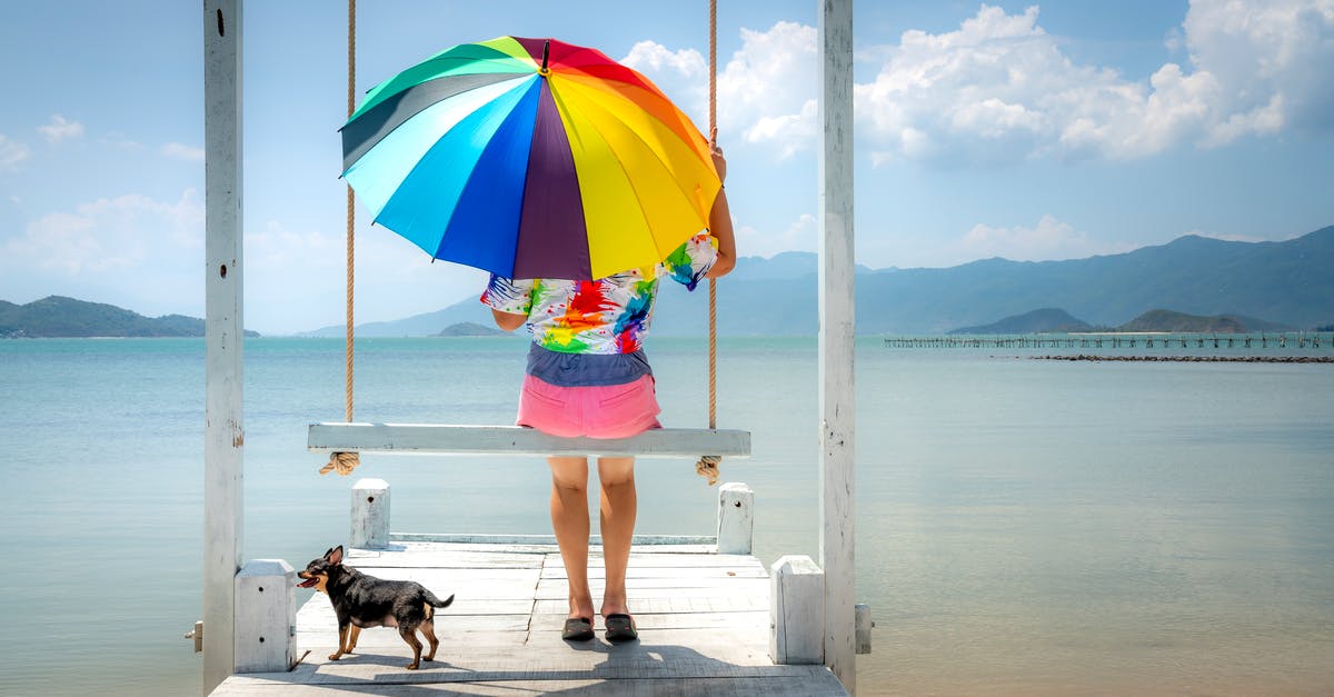 Annoying dog stole the artifact! How do I get it back [duplicate] - Woman Sitting on Wooden Swing Holding a Rainbow Umbrella