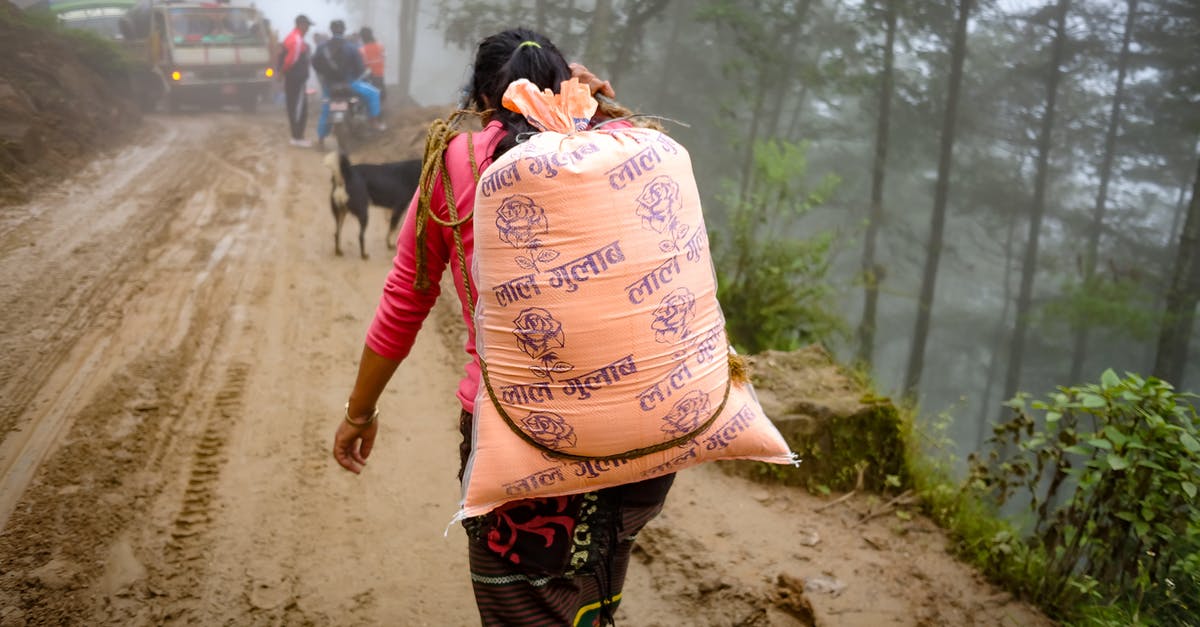 Annoying dog stole the artifact! How do I get it back [duplicate] - Back View of a Person Carrying a Sack on His Back while Walking on the Muddy Ground