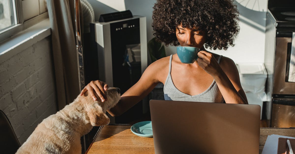 Anywhere to sit inside the Earth Temple? - Concentrated young black woman working remotely on netbook while sitting in room at table and drinking coffee while petting dog