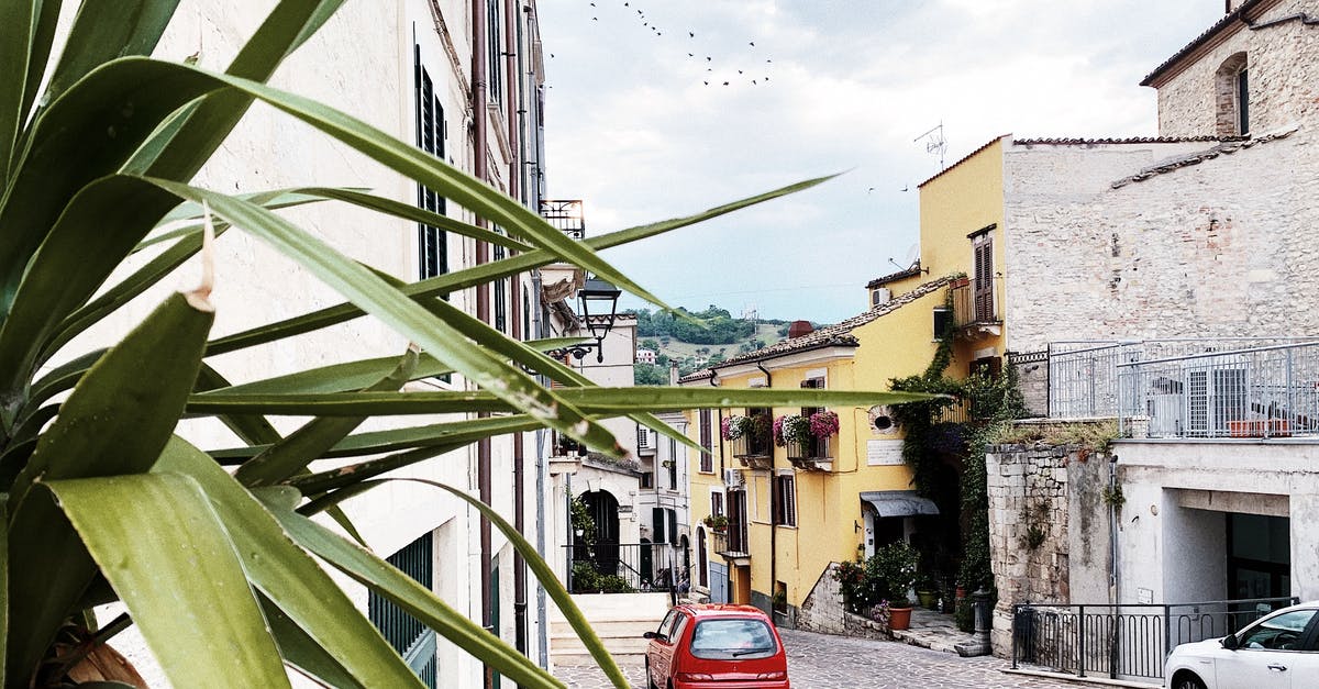 Are all cars completely equal in regard to gameplay? - Red Car Parked Beside Green Banana Tree Are all cars completely equal in regard to gameplay? - Red Car Parked Beside Green Banana Tree