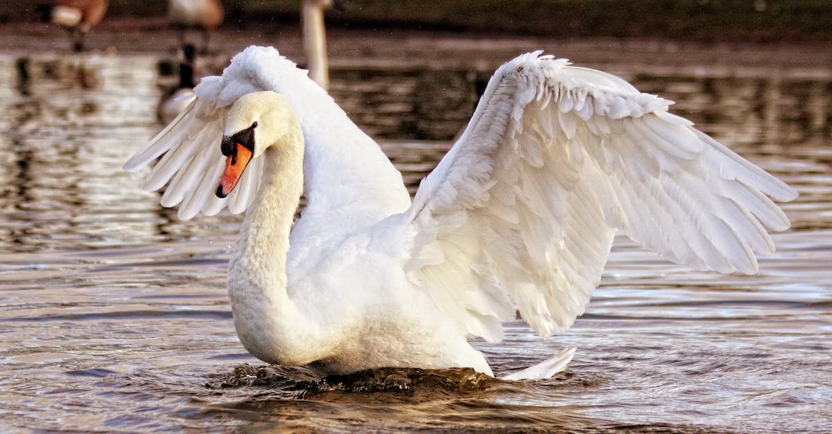 Are altars able to spread crimson/corruption? - White Swan Are altars able to spread crimson/corruption? - White Swan