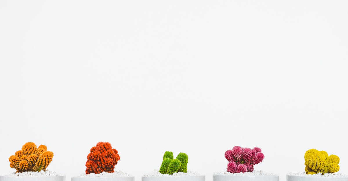 Are cacti more likely to regrow than to appear? - Five Assorted-color Cacti Are cacti more likely to regrow than to appear? - Five Assorted-color Cacti