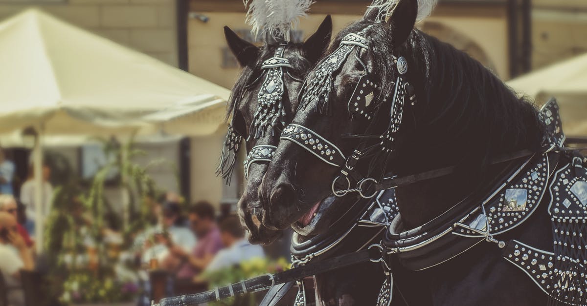 Are collars and EPP augmentations permanent? - Two Black Horses Wearing Accessories