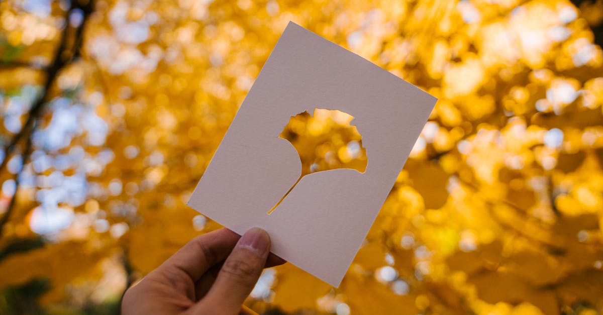 Are golden cards counted when mass disenchanted? If so, are they or the normal versions disenchanted first? - Person showing card against yellow autumn leaves