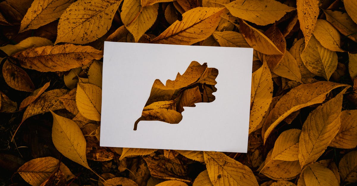 Are golden cards counted when mass disenchanted? If so, are they or the normal versions disenchanted first? - Simple cutout card on fallen foliage