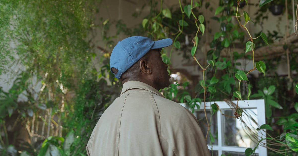 Are levels after 40 cap but before beating Keener lost? - Photo of Man Roaming Around Greenhouse Are levels after 40 cap but before beating Keener lost? - Photo of Man Roaming Around Greenhouse