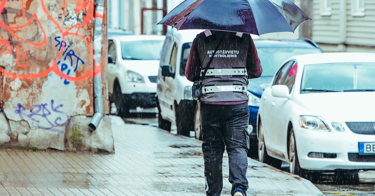 Are pedestrian walkways purely cosmetic, or do they help encourage walking instead of driving? - Full body back view of anonymous male scrolling on paved street with umbrella during overcast rainy day