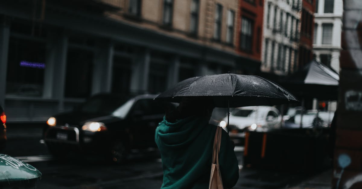 Are pedestrian walkways purely cosmetic, or do they help encourage walking instead of driving? - Back view of unrecognizable person in casual clothes walking with umbrella on city street in rainy day in evening time