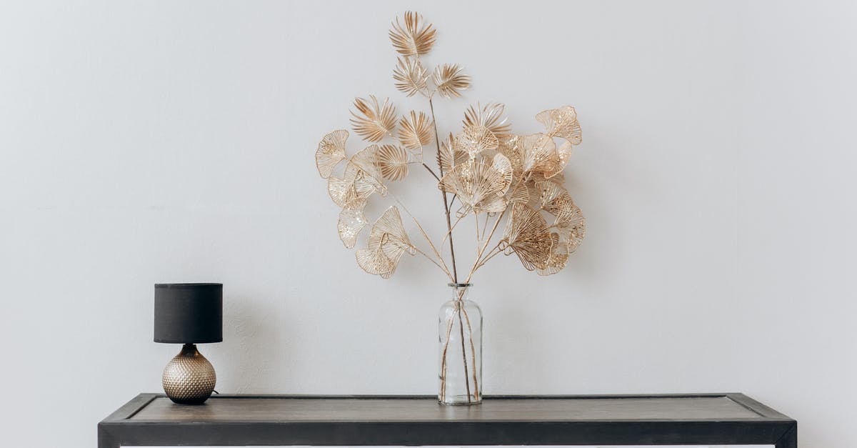 Are runes still useful in a no-powers playthrough? -  Flower Vase And Lamp On Black Vase on A Console Table