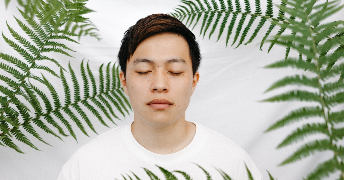 Are the Akaviri like the Japanese people of the real world? - Man in White and Green Crew Neck Shirt Are the Akaviri like the Japanese people of the real world? - Man in White and Green Crew Neck Shirt