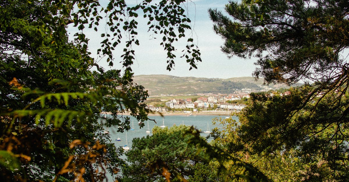 Are the Empire ships at an inherent disadvantage due to lack of shields? - Ships Sailing on a Seashore Visible From Behind Trees
