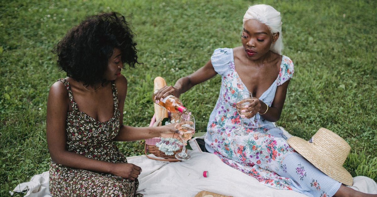 Are there advantages of having a Japanese vs an American 3DS? - Women Having Picnic on Grass in Park
