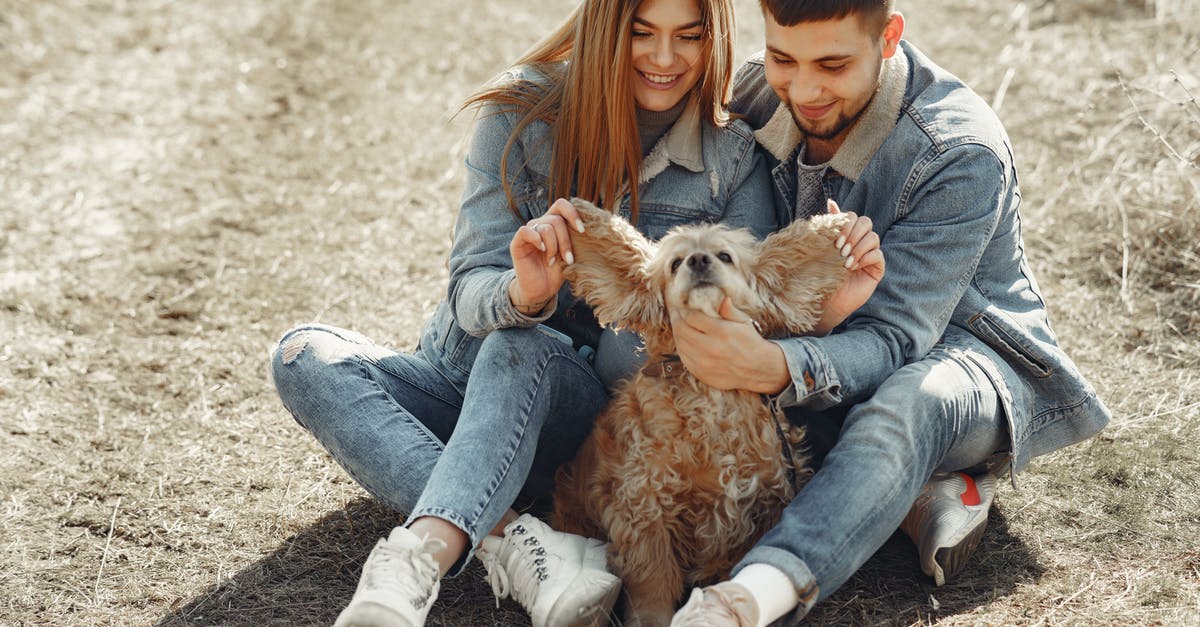 Are there advantages of having a Japanese vs an American 3DS? - Full length happy couple in jeans outfit playing with adorable American Cocker Spaniel while having fun on lawn in autumn forest