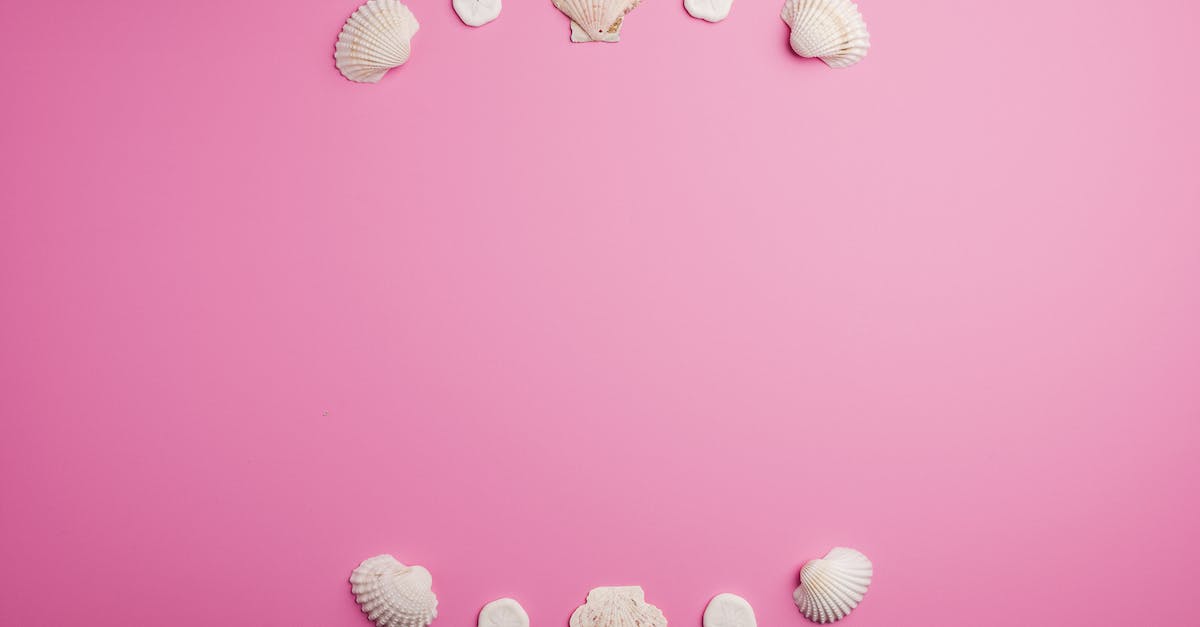 Are there any command-line arguments for Origin? - Composition of seashells on pink background