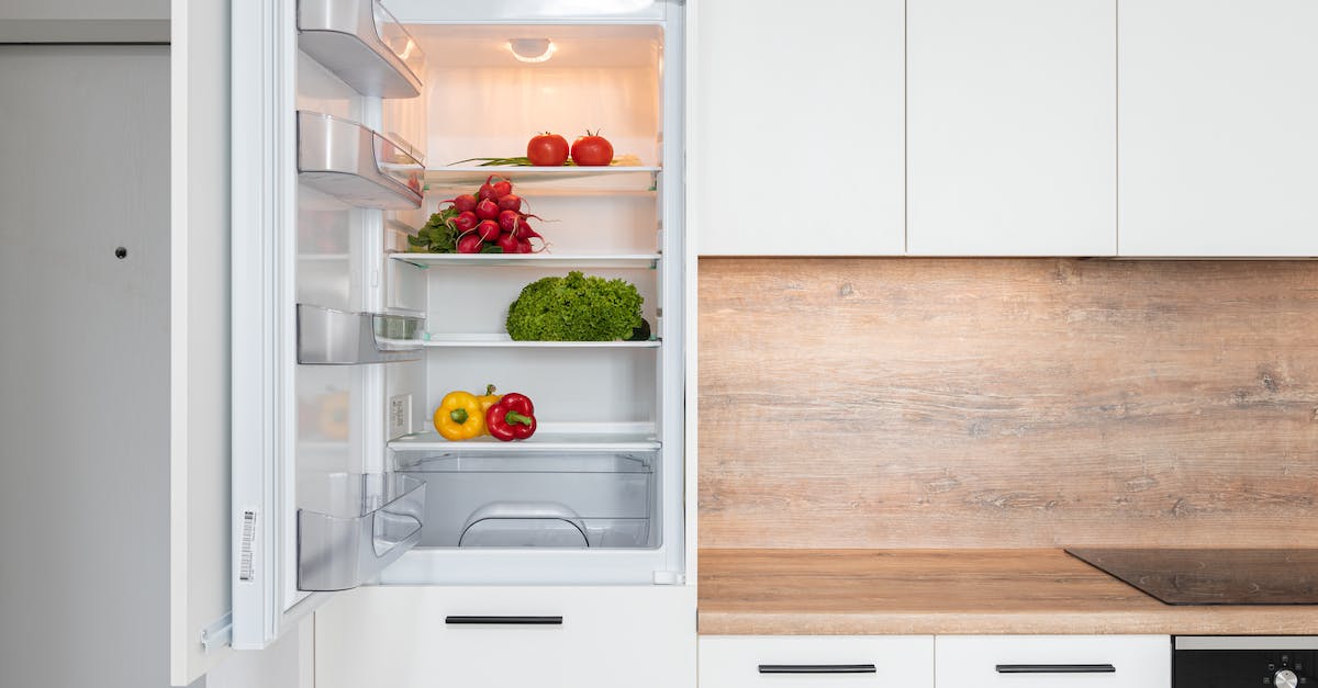 Are there any foods usable by new characters? - Fridge with different vegetable in modern kitchen Are there any foods usable by new characters? - Fridge with different vegetable in modern kitchen