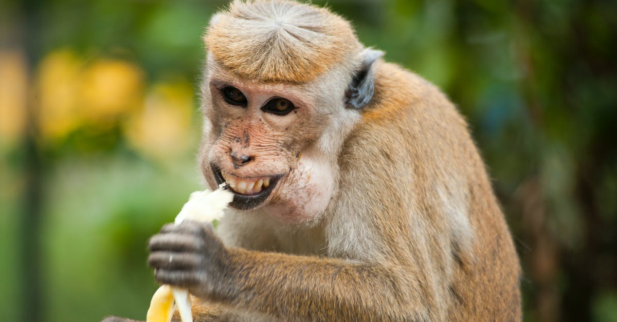 Are there any hidden (i.e., OOB) collectibles in Donkey Kong 64 in addition to Diddy's Jungle Japes banana? - Brown Monkey