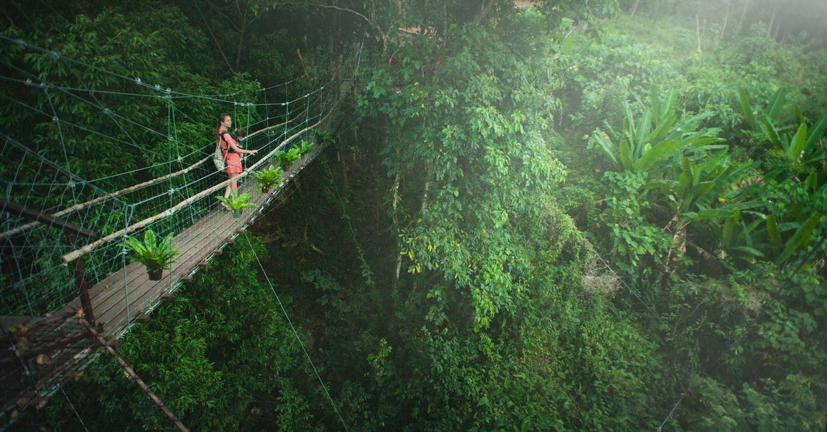 Are there any hidden (i.e., OOB) collectibles in Donkey Kong 64 in addition to Diddy's Jungle Japes banana? - Girl Wearing Pink Dress Standing on Bridge Above Trees Are there any hidden (i.e., OOB) collectibles in Donkey Kong 64 in addition to Diddy's Jungle Japes banana? - Girl Wearing Pink Dress Standing on Bridge Above Trees