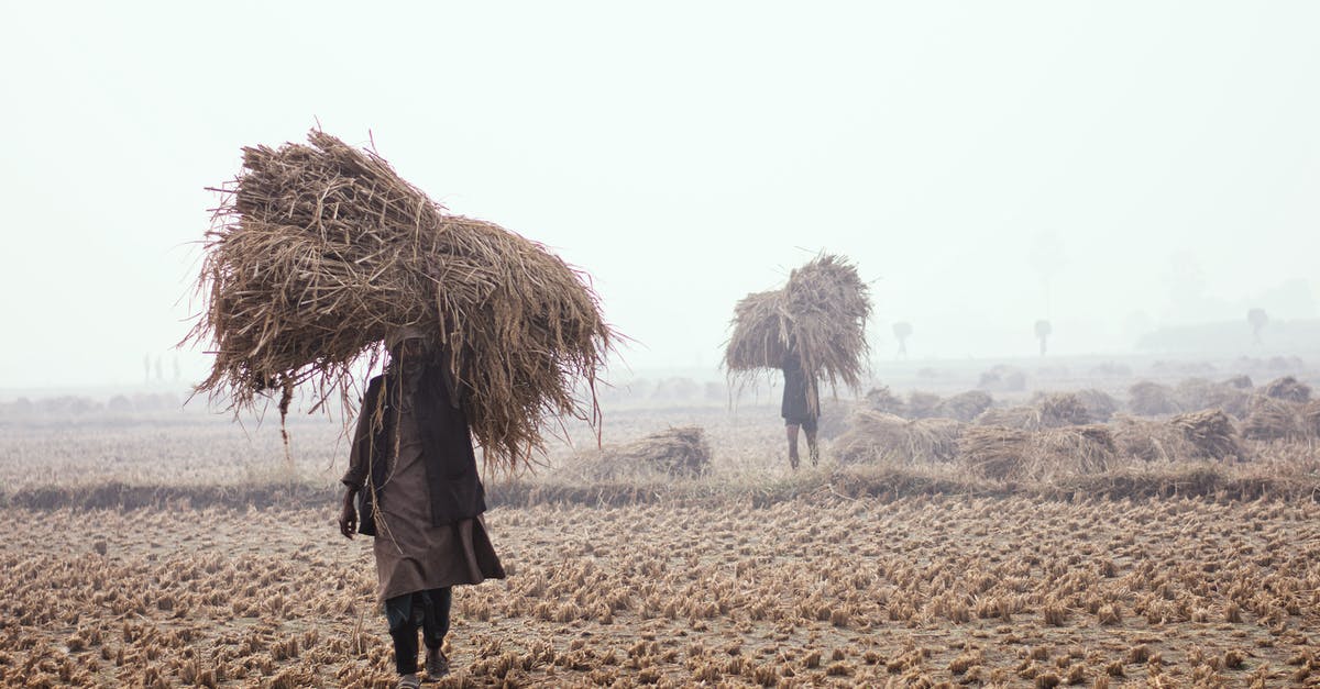 Are there any strategies for farming Treasure Rooms? - Person in Black Coat Standing on Brown Field Are there any strategies for farming Treasure Rooms? - Person in Black Coat Standing on Brown Field