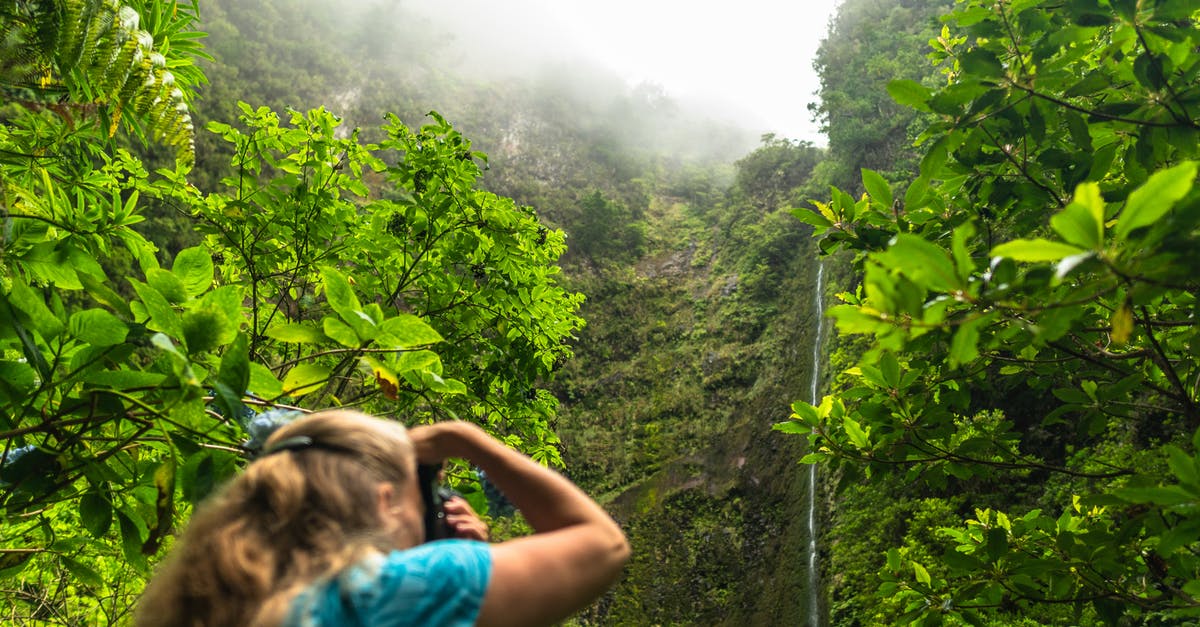 Are there any ways to increase your chances of capturing a Pokemon? - Woman Taking Photo of Green-leafed Trees