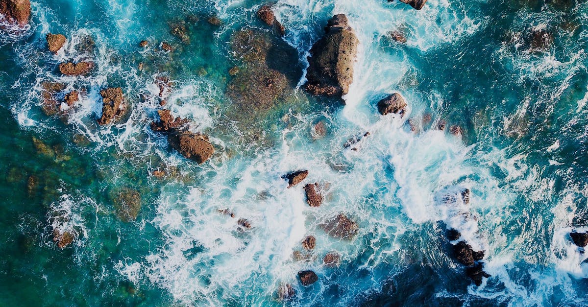 Are there non-root chalices I can get blood rocks from? - Sea Waves Are there non-root chalices I can get blood rocks from? - Sea Waves