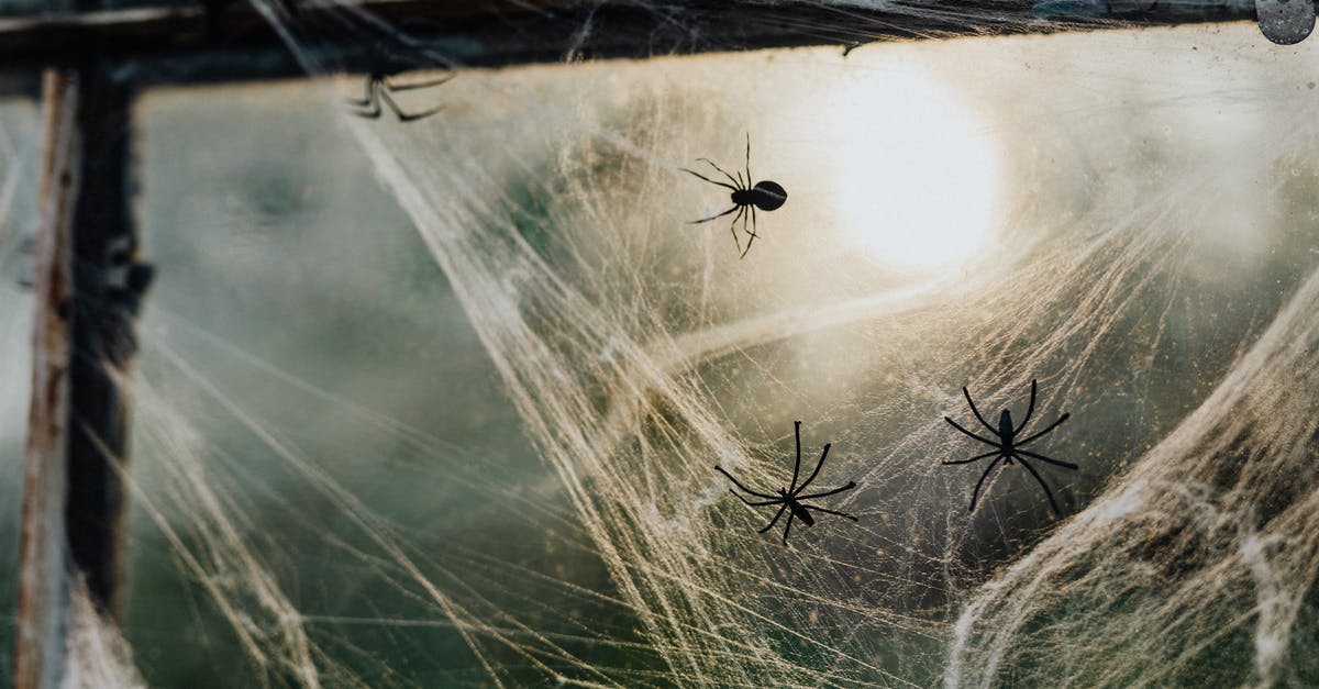 Are there spiders in Inside? - Halloween Decoration on Window