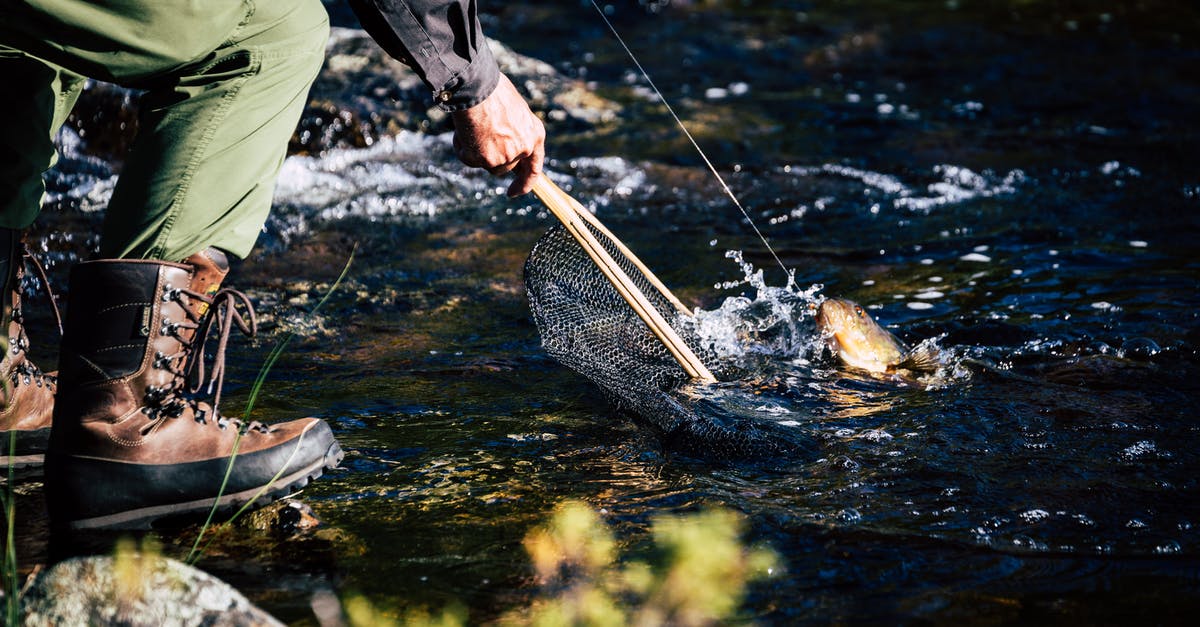 Are there ways to make catching legendary fish easier? - Photograph of a Person's Hand Catching a Fish