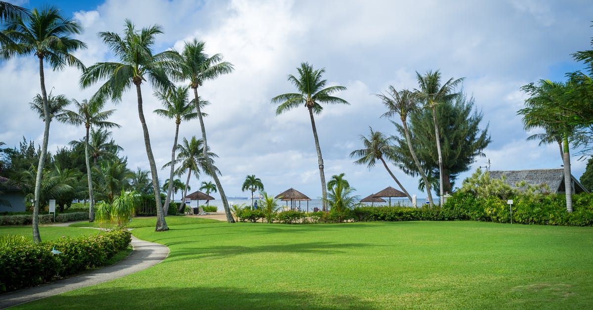 Are villages worth it in a rebellion? - Green Palm Trees on Green Grass Field Under Blue Sky Are villages worth it in a rebellion? - Green Palm Trees on Green Grass Field Under Blue Sky