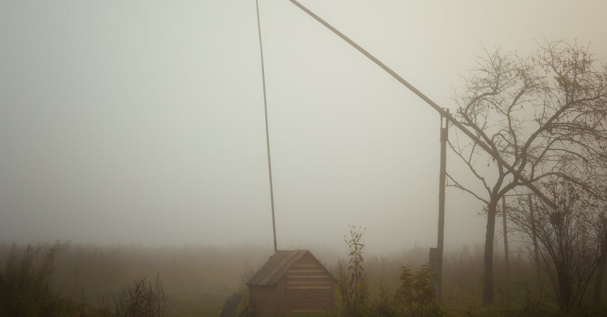 Are villages worth it in a rebellion? - Brown Wooden House Near Bare Trees Under White Sky Are villages worth it in a rebellion? - Brown Wooden House Near Bare Trees Under White Sky