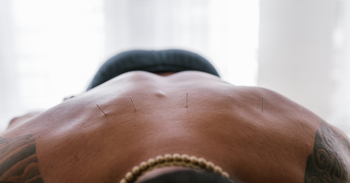 As Manchu, if I westernize and then form Qing, will I go back To Chinese? - Needles on a Person's Back