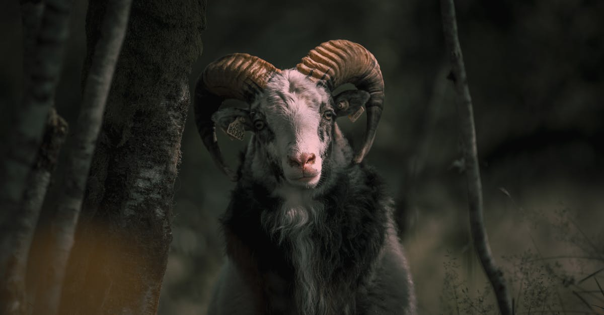 Assassin's Creed Syndicate RAM issue? - Goat With Big Horn 