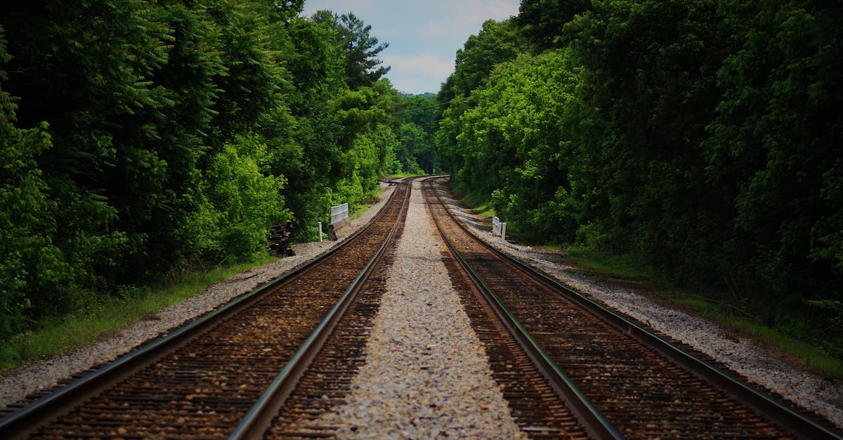 At what distance (from the player) do iron golems spawn in villages? - Brown Train Railway Between Green Trees at Daytime